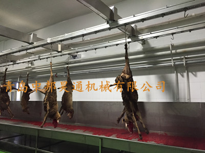 活羊扣腳懸掛